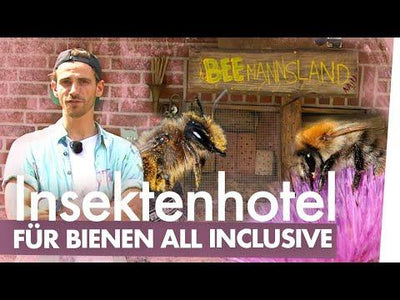 Insektenhotel bauen – Nist- und Überwinterungshilfe für Wildbienen  | Kliemannsland