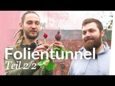 Aussaat für den Winter / Folientunnel winterfest machen 2/2 | Kliemannsland